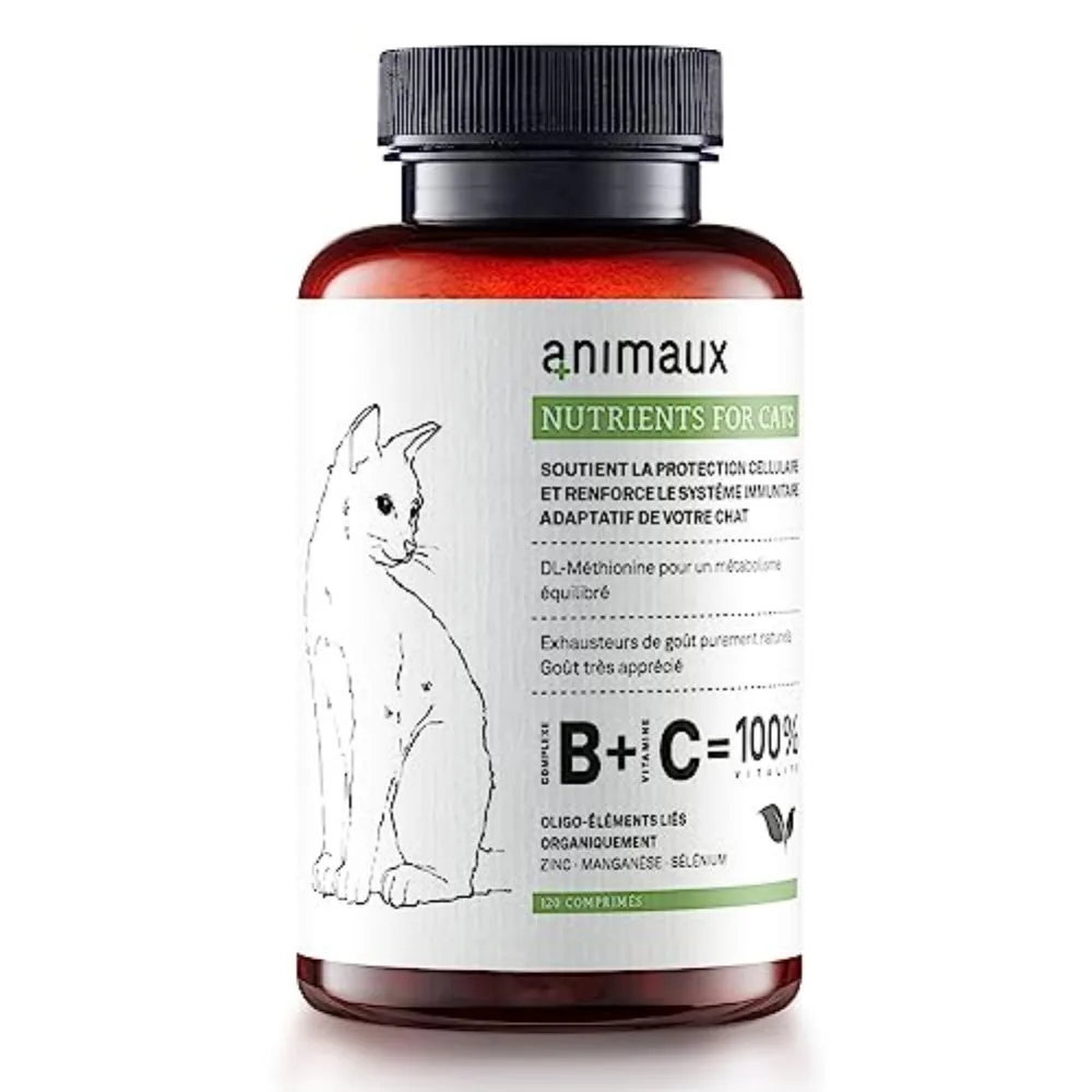 Vitamines pour Chats Animaux : mon avis sur ces comprimés