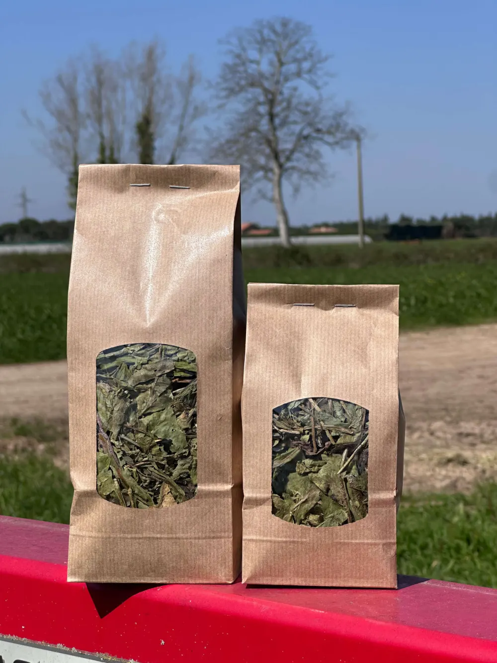 Haynest Feuilles de Pissenlit : mon avis sur cette herbe pour NAC